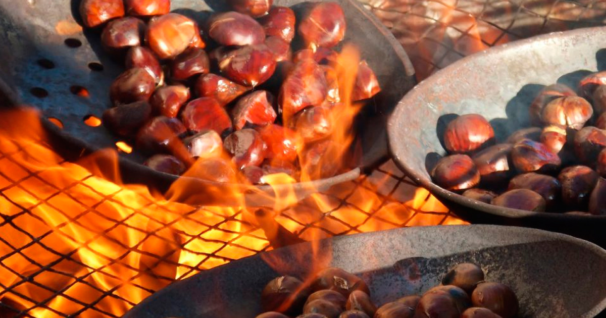 Fiesta del Magosto con castañas asadas